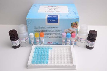 Chloramphenicol (CAP) ELISA Test Kit