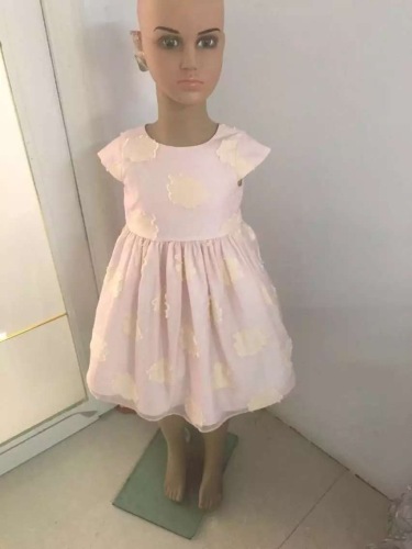 Flower Girls dress