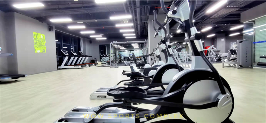 Largest Gym Equipment Manufacturer (9)