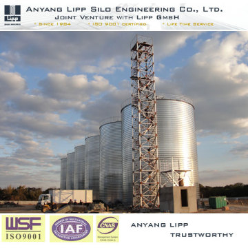 2500t Raps -Lagerung Siloöl -Herstellung Material Silo