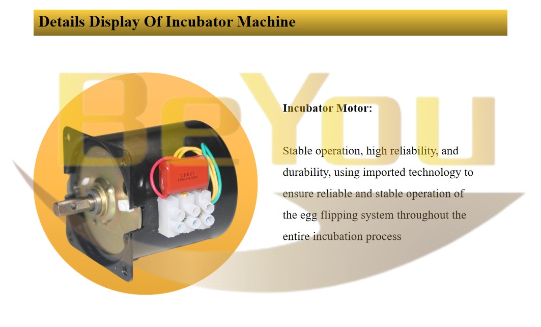 Automatic Farming Egg Incubator Chicken 1000 Egg Setter Haching Machine Incubator Equipment