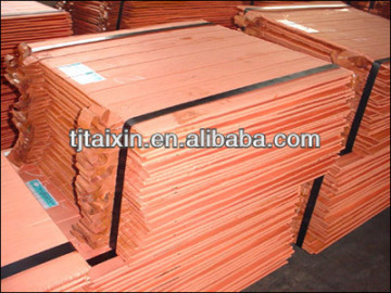 Copper Sheets /Plate