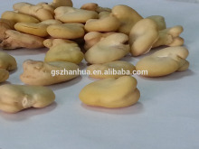 Peeled broad bean