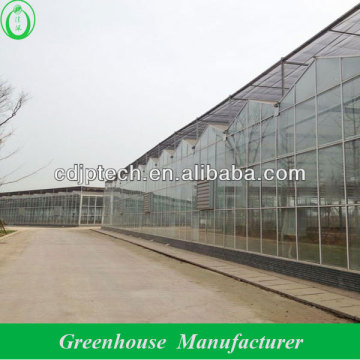 greenhouse construction glass