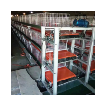 China Manufacturer H Frames Broiler Cage Chicken Meat Cages With Automatic System