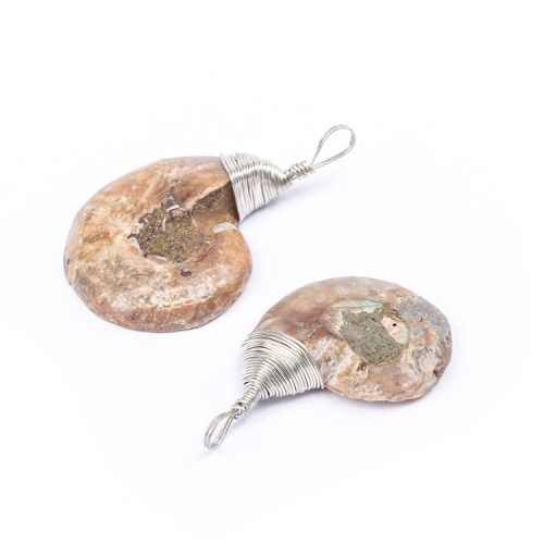 Natural Crystal Fossil Shell Snail Pendant Necklace Energy Stone Healing Divination Necklaces for Home Decoration Gift Collectio