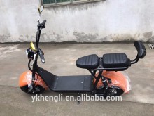 60V 1000W Eec Battery Power Electric 2 Seat Mobility Scooter