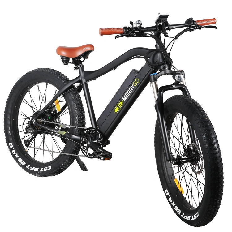 OEM MTB Electric Bike Electric Mountain Bicycle