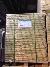 Bond Printing paper 55/58gsm in roll&Sheet