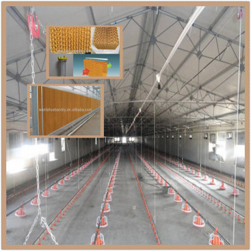 Promotion!Modern Broiler Rearing Equipment