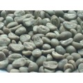 Ыстық сатылымдар Arabica кофе дәндері