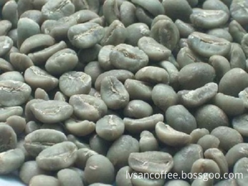 Arabica Raw Coffee Beans