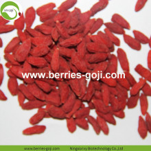 Nhà máy Cung cấp Giá cả tự nhiên Trái cây Goji Berry