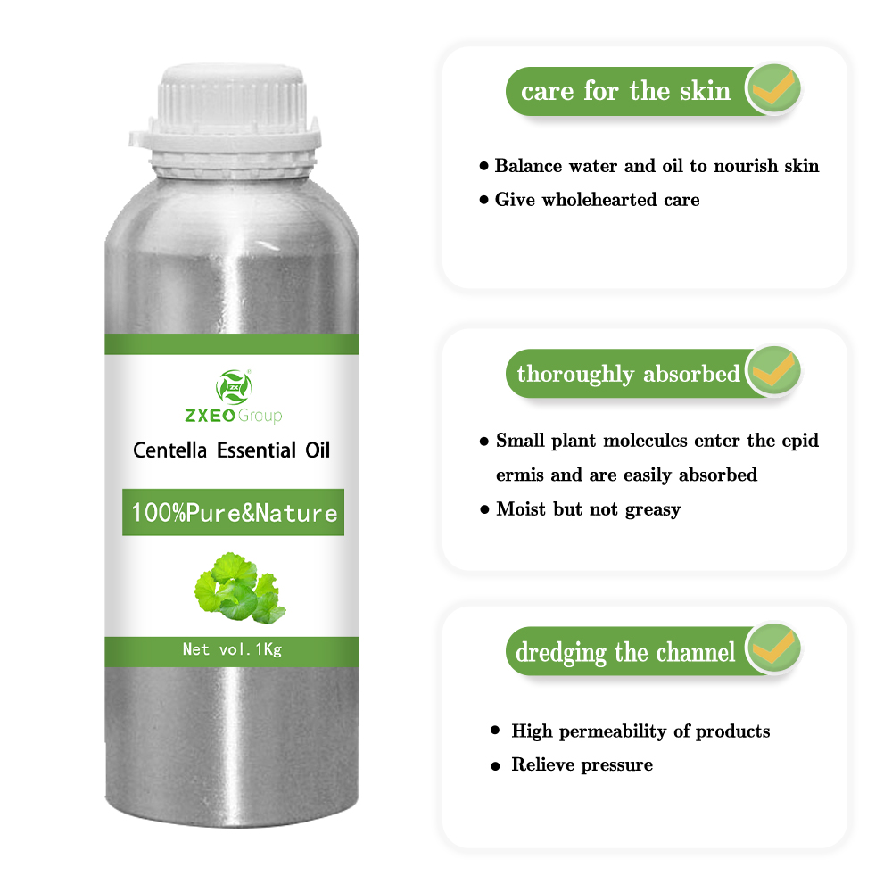 Centella Asiatica Essential Huile Qualité 100% pur huile GOTU KOLA Extrait biologique Natural Natural Skin Care Massage corporel aromathérapie