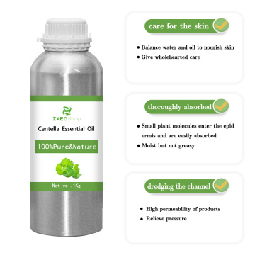 Centella asiaticaエッセンシャルオイル品質100％純粋なオイルGotu Kola Extrac