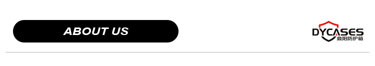 D2816 High Quality Waterproof and Shockproof Tool Storage Hard Plastic Waterproof Case With Customized Foam