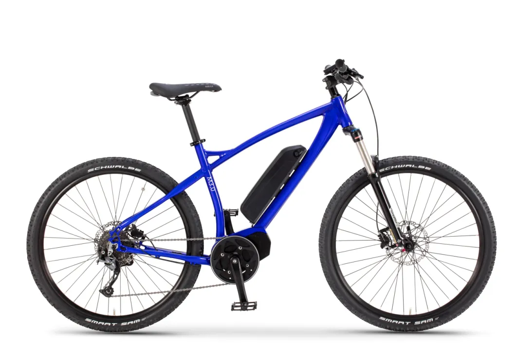 City Road Mountain Light Weight Electric Bike with MID Motor