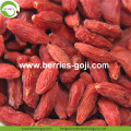 Lose Weight Fruit Nutrition Natural Tibetan Goji Berry