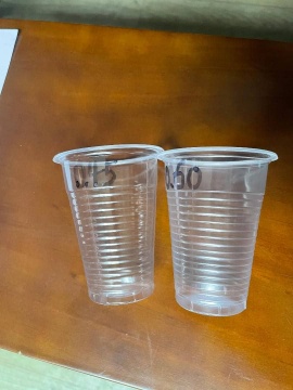 100% biodegradable PLA cups