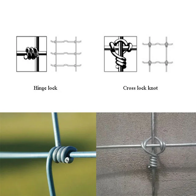 Sheep High Quality Galvanized Sheep Field Fence