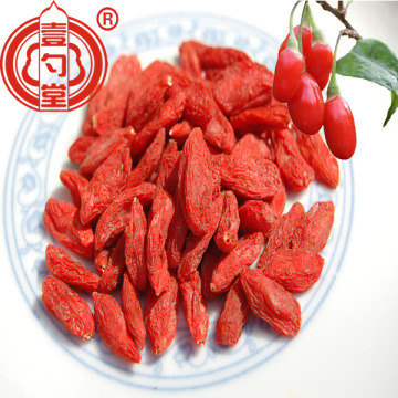 Frutta biologica certificata di Goji delle bacche grezze