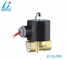 Brass 220V Welder Gas Solenoid Valve
