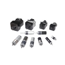 Custom BL DC Planetary Gear Motor - DYD