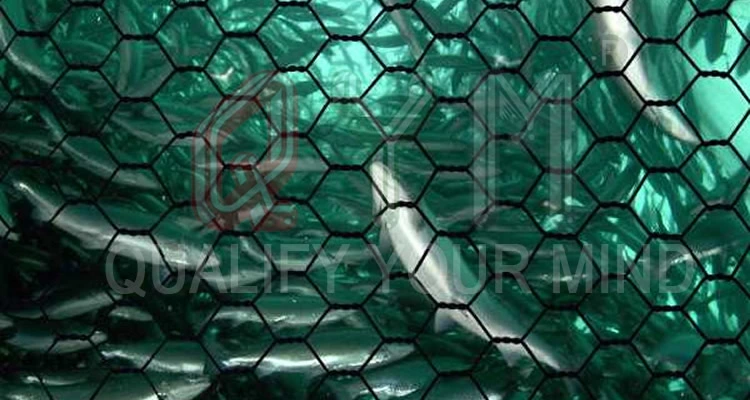 Pet Hexagonal Wire Mesh Pet Fish Farming Cage Netting