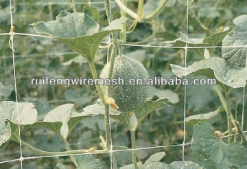 Green Plastic Plant Climbing Mesh