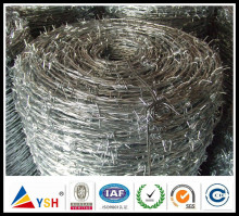 Low Mateiral Coil Barbed Wire (China factory)