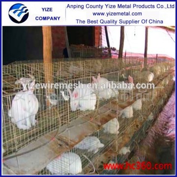 Direct Factory rabbit caget,rabbit farming cage,welded rabbit cage wire mesh