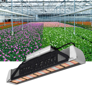 Piante da interni idroponiche con luci progressive a LED