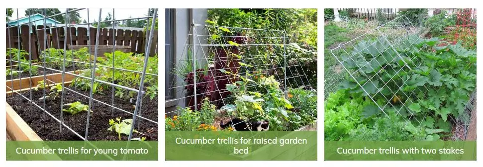 a-Frame Cucumber Trellis Support Vine Vegetables on Raised Garden Beds