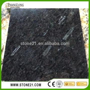 cheap price Labrador Black India