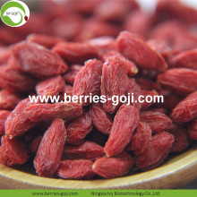 Perdre du poids Nutrition naturelle séchée Himalaya Goji