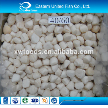 alibaba gold supplier IQF scallop dried scallop