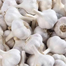 Organic Garlic Cloves for Natural Remedies