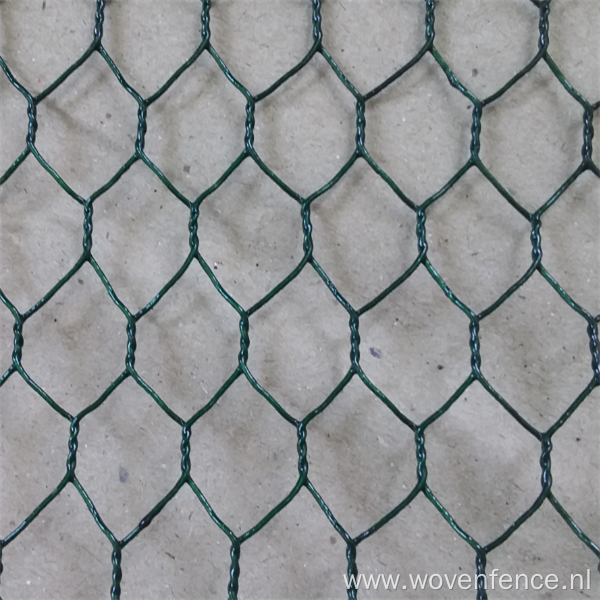 Chicken wire fencing