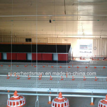 Automatic Nest Poultry Farm Equipment