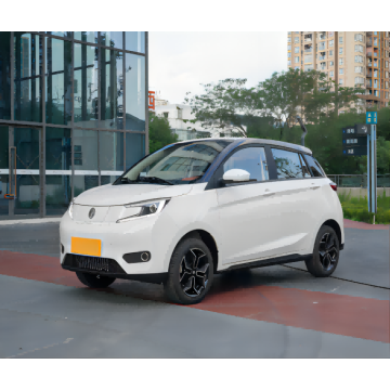 EV Small Electric Car 2023 Kilometre na kilometre 408 km na predaj