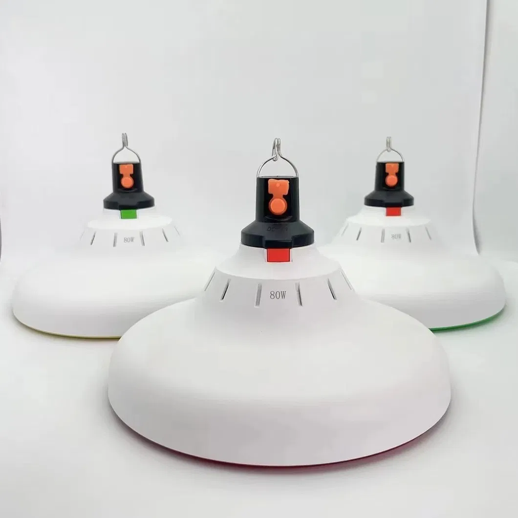 Portable Rechargeable LED Light Bulb for Power Failures