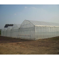 Agriculture en plastique à grande échelle Multi Span Greenhouse à vendre