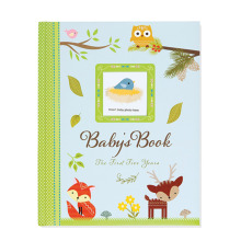 First Year Record Baby's Monthly Progress Book