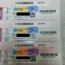 Microsoft Windows 8.1 Professional OEM COA Label
