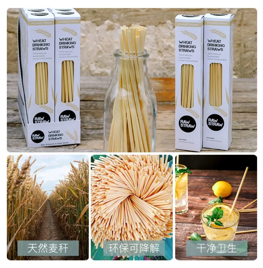 Natural Wheat Drinking Straws Biodegradable, Eco Disposable Straw for Coffee