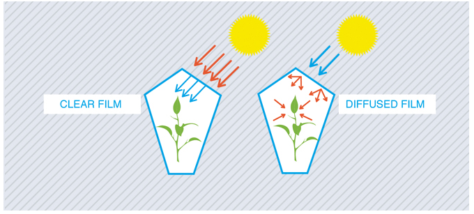 PE Greenhouse Film