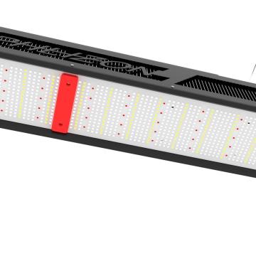 640W Roi-e680 Led Grow Light