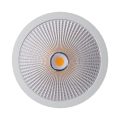 Außen weiße 30 -W -LED -Oberfläche runden Downlight montiert