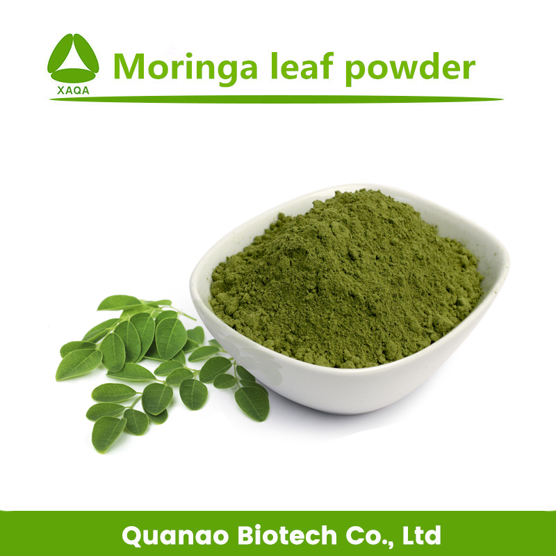Moringa Oleifera-Blattextrakt-Pulver für die Gesundheitspflege