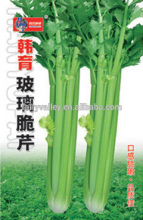 Chinese Celery Seed For Growing-Korean Bred Grass Crisp Celery